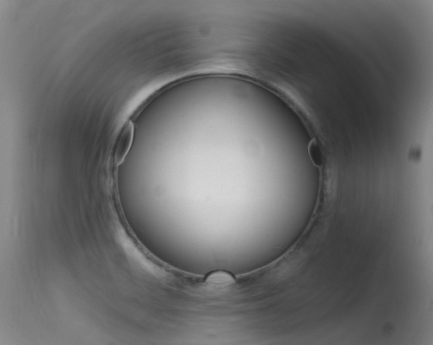 X0000115531468200911061116