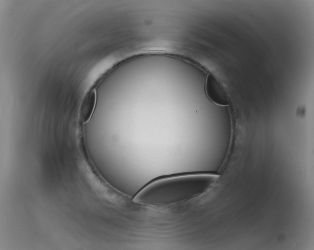X0000115531469200911061116