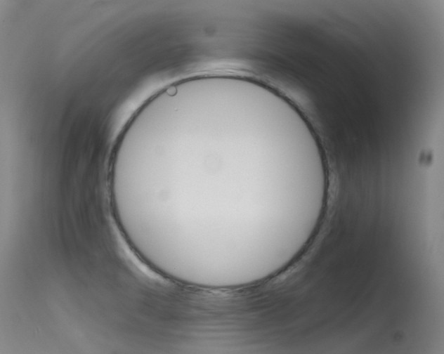 X0000115531470200911061116