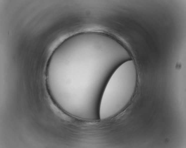 X0000115531471200911061116