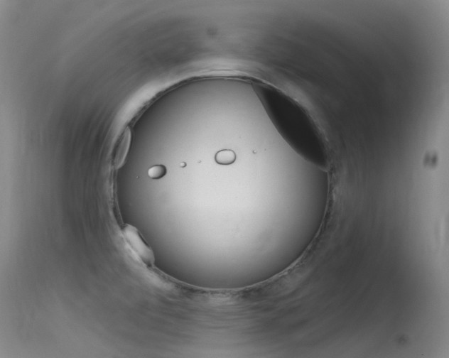X0000115531472200911061116