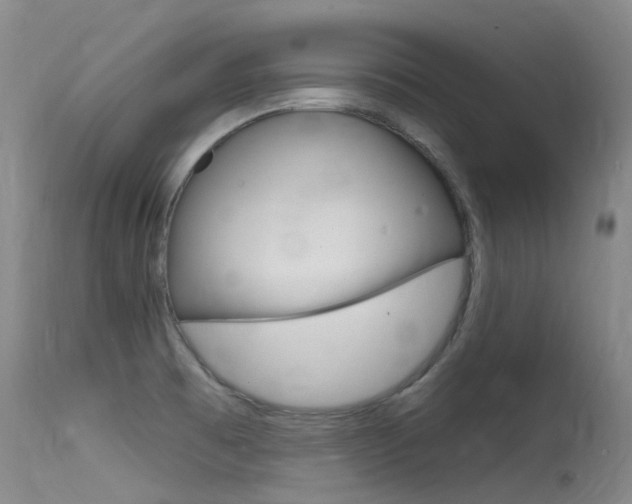 X0000115531473200911061116