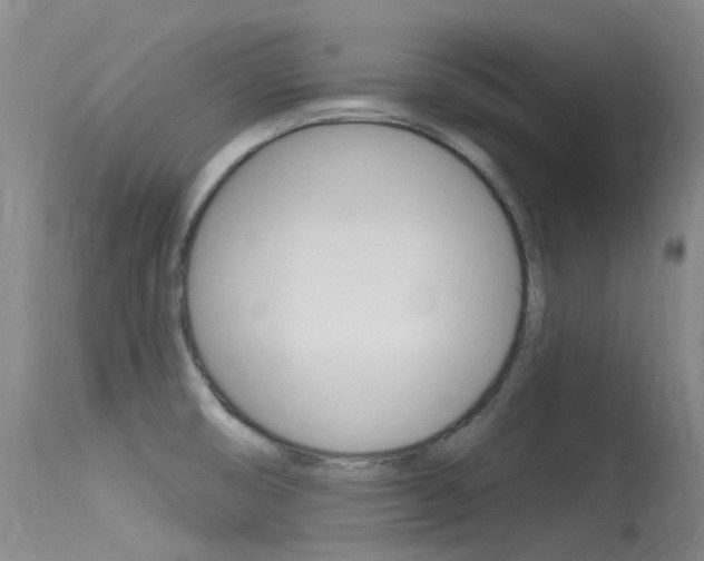 X0000115531474200911061116