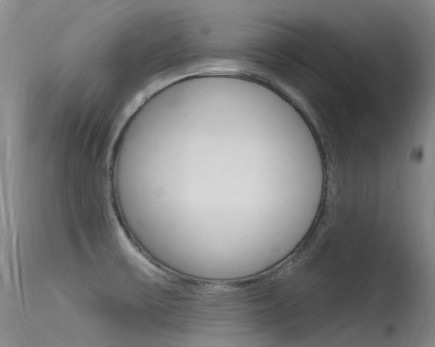 X0000115531475200911061116