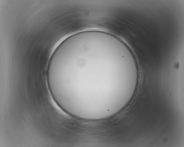X0000115531476200911061116