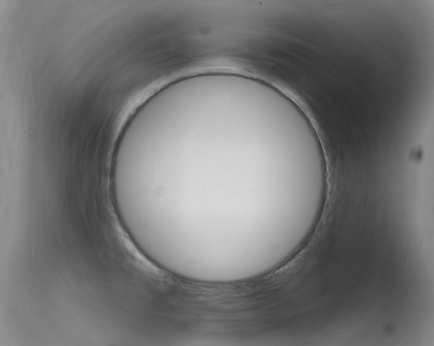X0000115531477200911061116
