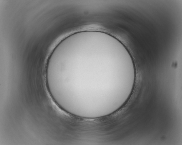 X0000115531478200911061116