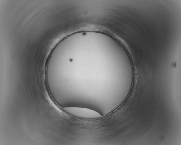 X0000115531479200911061116