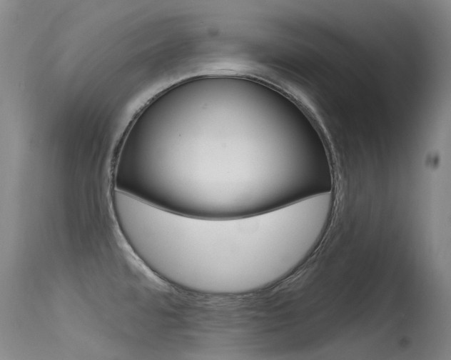 X0000115531480200911061116