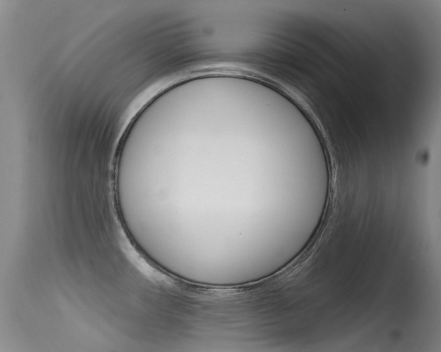 X0000115531482200911061116