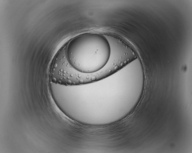 X0000115531483200911061116