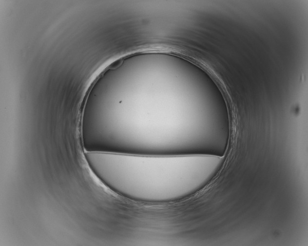 X0000115531484200911061116