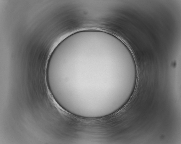 X0000115531485200911061116