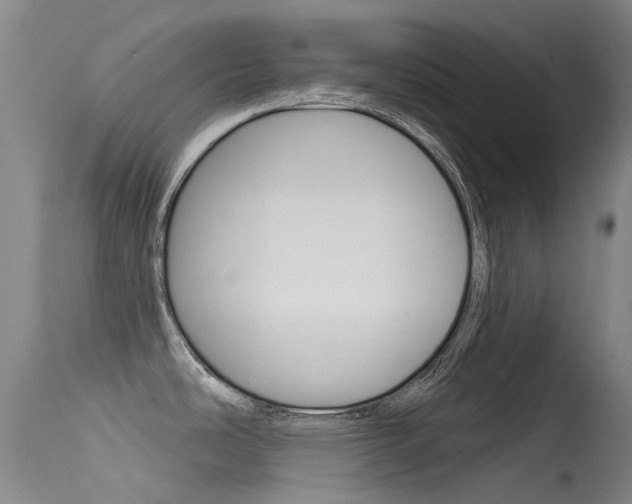 X0000115531486200911061116