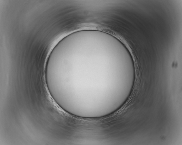 X0000115531488200911061116