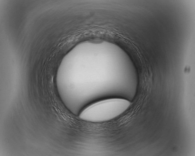 X0000115531489200911061115