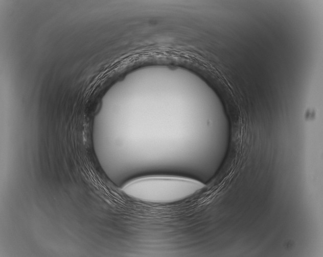 X0000115531490200911061115