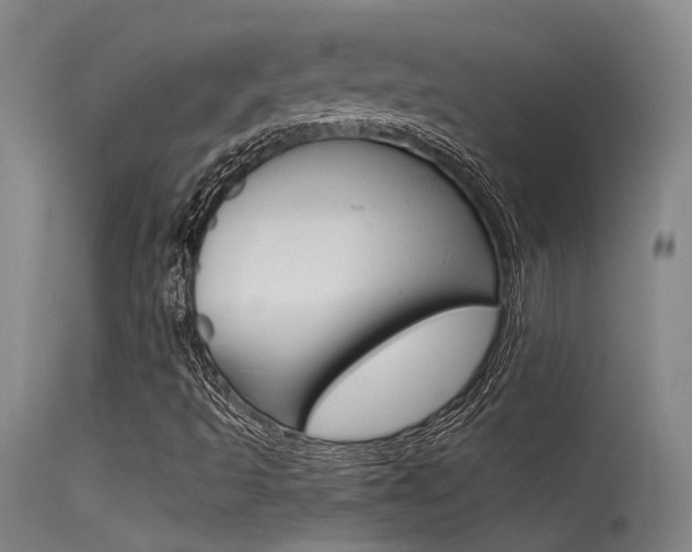 X0000115531493200911061115
