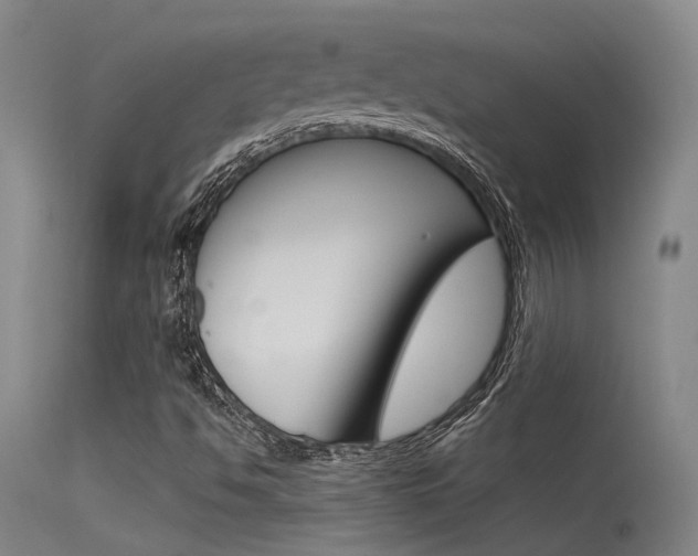 X0000115531494200911061115