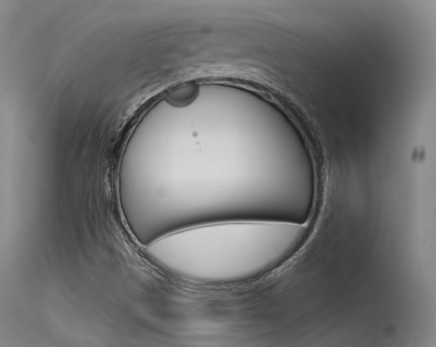 X0000115531497200911061115