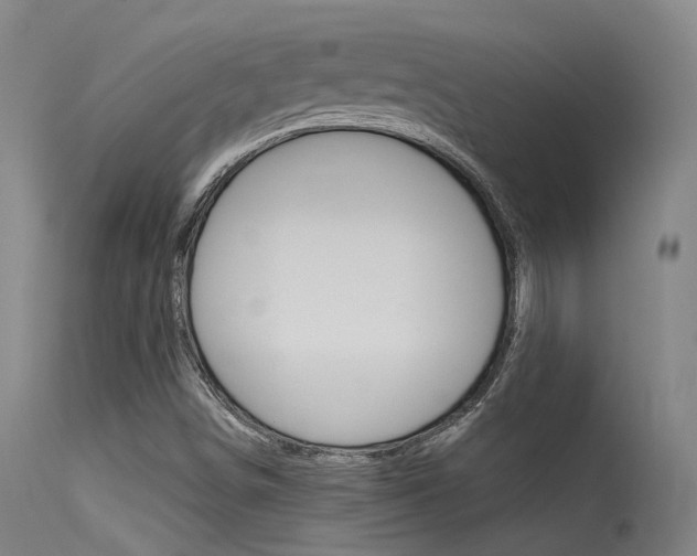 X0000115531498200911061115
