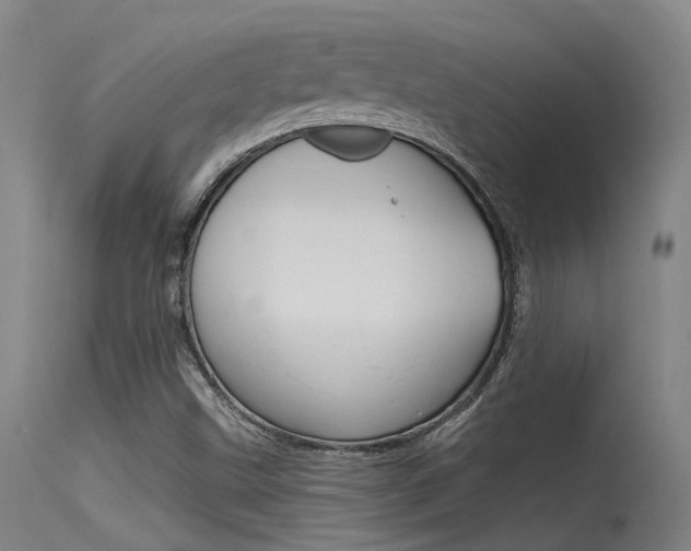 X0000115531499200911061115
