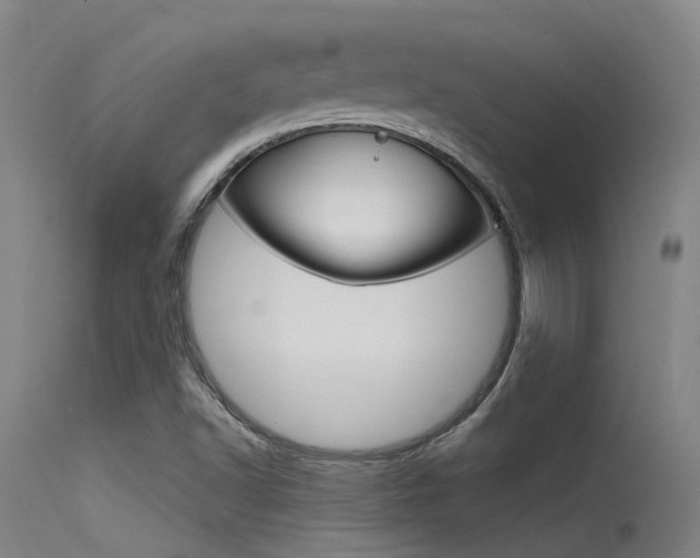 X0000115531502200911061115