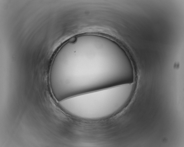 X0000115531505200911061115