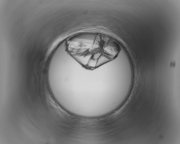 X0000115531506200911061115