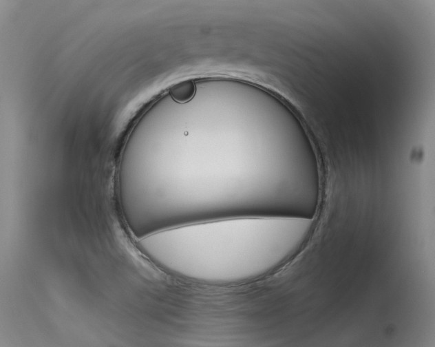 X0000115531507200911061115