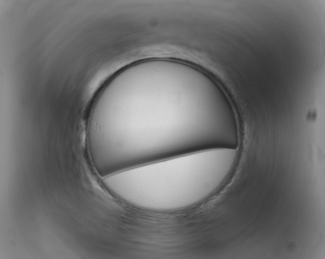 X0000115531509200911061115