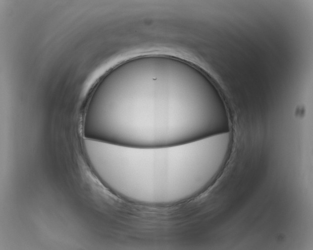 X0000115531510200911061115