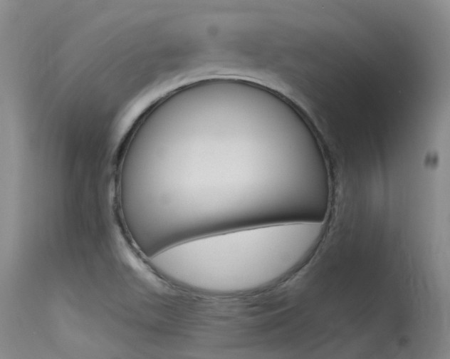 X0000115531511200911061115