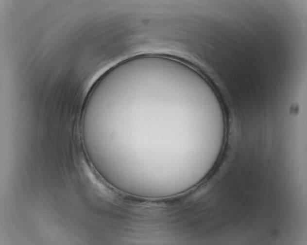 X0000115531513200911061115
