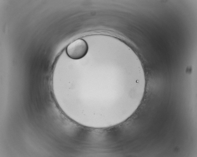 X0000115531514200911061115