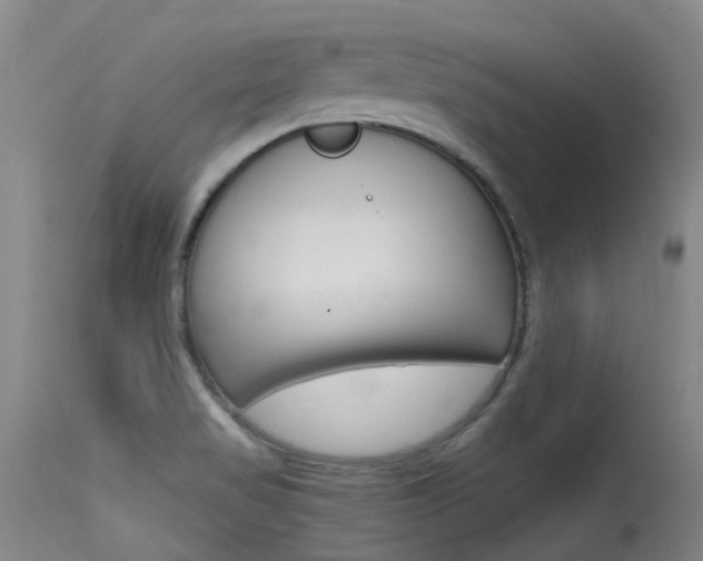 X0000115531517200911061115