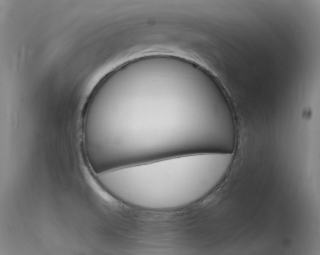 X0000115531519200911061115