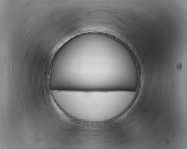X0000115531521200911061116
