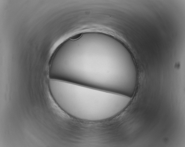 X0000115531522200911061116