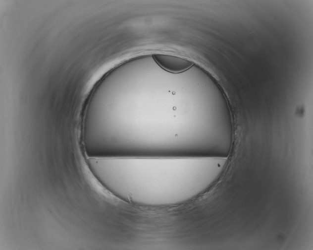 X0000115531523200911061116