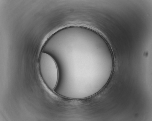 X0000115531525200911061116