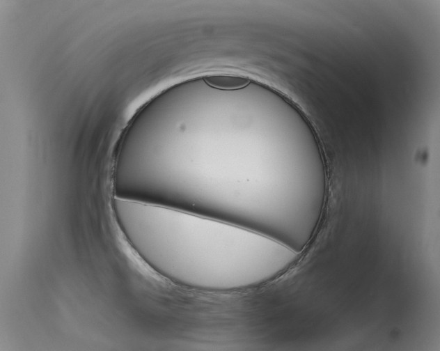 X0000115531526200911061116