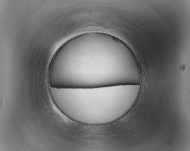 X0000115531527200911061116