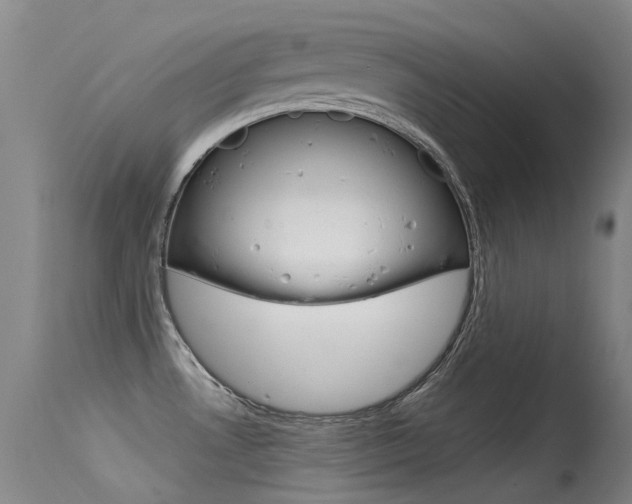 X0000115531530200911061116