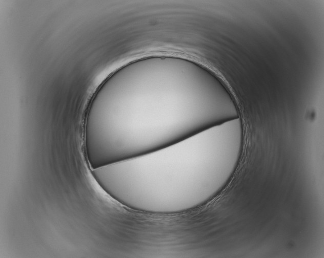 X0000115531531200911061116