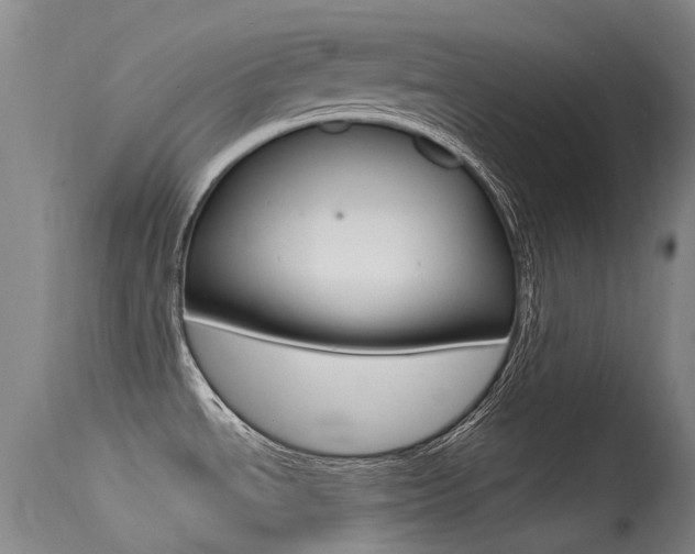 X0000115531534200911061116