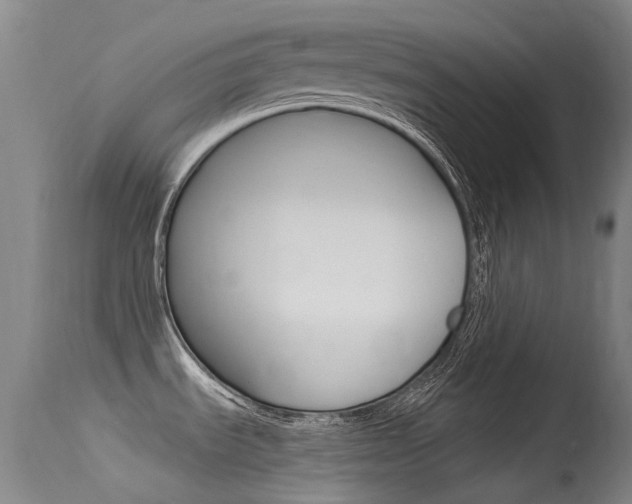X0000115531535200911061116