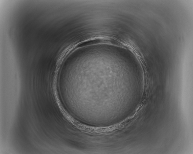 X0000115530001200911061449