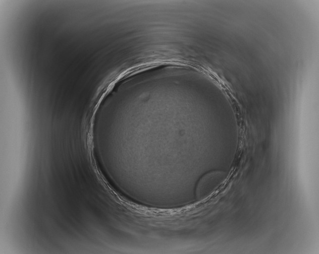 X0000115530002200911061449