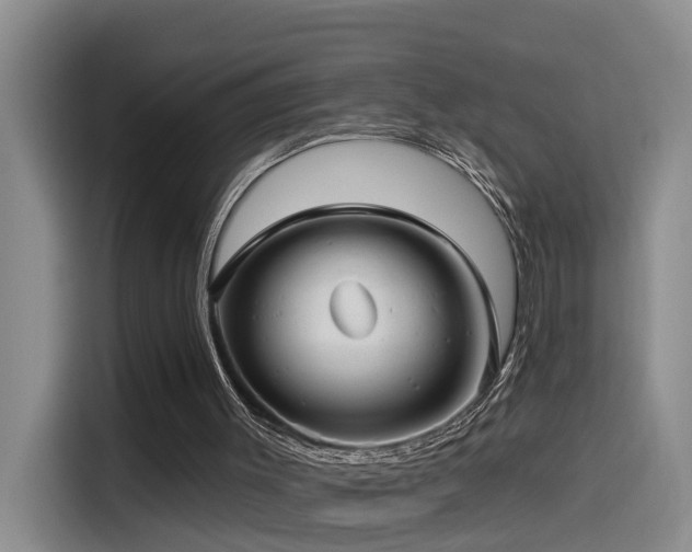 X0000115530003200911061449